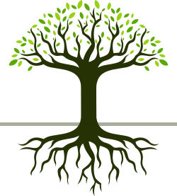 Schematic of a tree showing its roots, trunk, branches and leaves